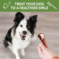 Dog Dental Treat