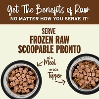 - Frozen Scoopable Pronto Dog Food - Raw & Natural Nutrition - Beef Recipe