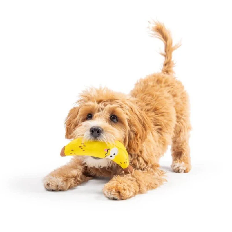 Huxley & Kent - Tiny Tuff Small Breed Dog Toy - Durable & Soft for Interactive Play - Bruiser Banana