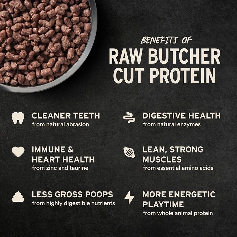 Vital Essentials - Freeze Dried Raw Dog Food - High Protein,  Grain Free & Limited Ingredient Crunchy Mini Nibs - Beef Entrée