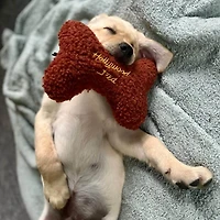 Dog Toy - Fleece Bone