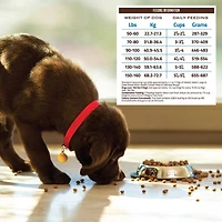 Holistic Select - Dry Dog Food - Natural Large & Giant Breed Adult Health - Chicken Meal & Oatmeal Recipe