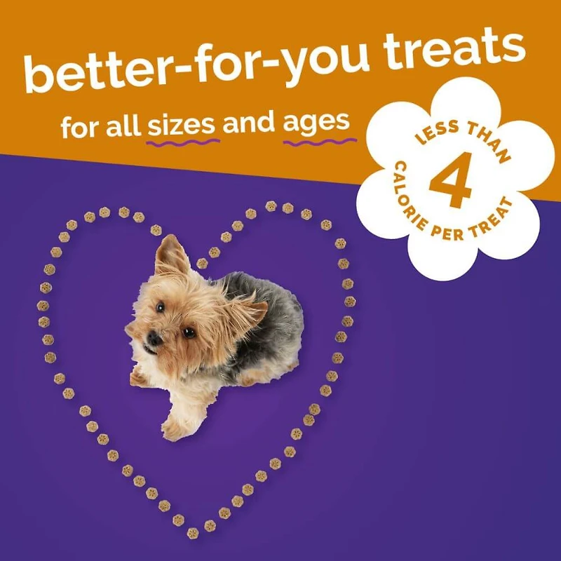Fruitables - Skinny Minis® Dog Treat - Big Flavor Soft Chews with Superfoods - Rotisserie Chicken