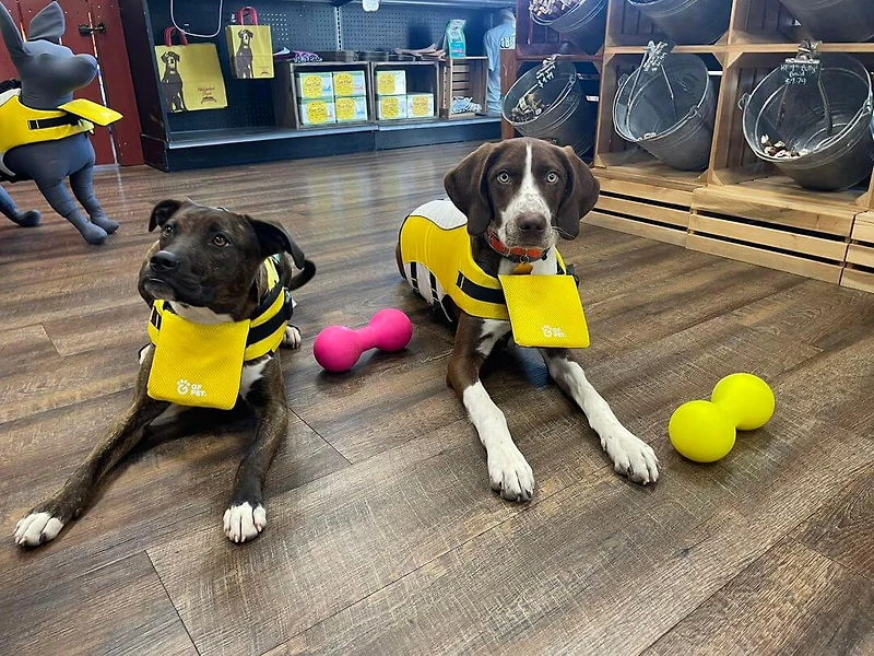 GF Pet - Dog Life Jacket - High Buoyancy,  Adjustable & Reflective for Safety - Yellow