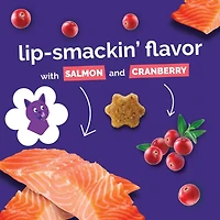 Fruitables - Cat Treat - Superfood Blend with Crunchy Flaky Texture - Salmon & Cranberry