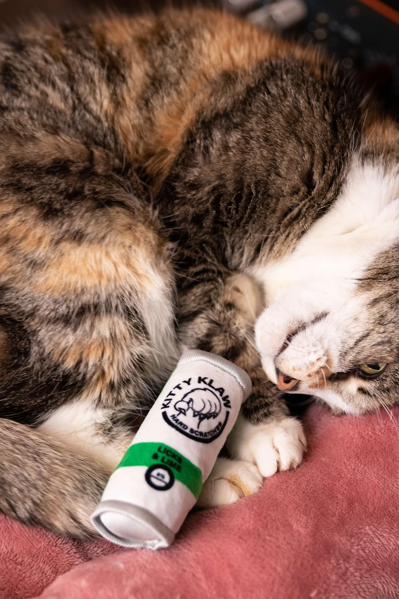 Huxley & Kent - Kittybelles Cat Toy - Kitty Klaw Clawberry