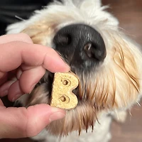 Bocce's Bakery - Crunchy Biscuits Dog Treats - Say Moo