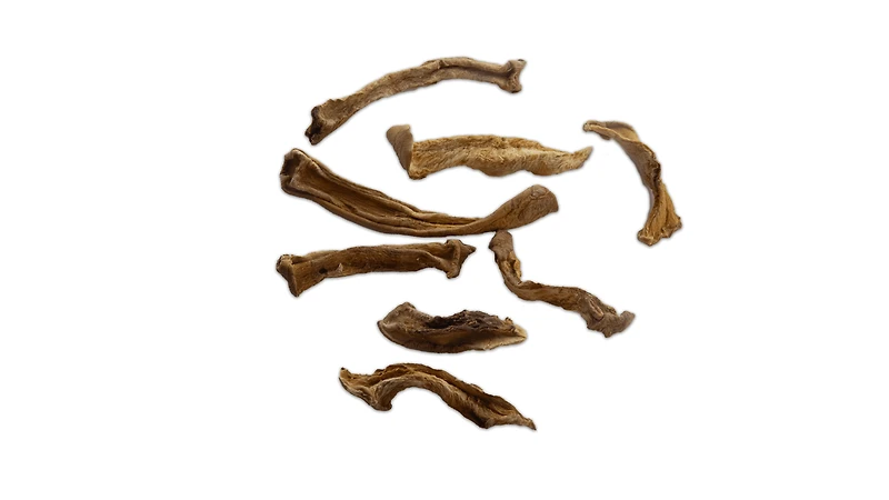 - Dog Chew - Pumpkin Fries