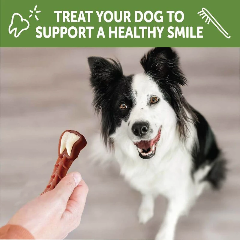 WHIMZEES - Dog Dental Treat - Brushzees Natural Grain Free Dental Chews