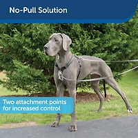 Dog Harness