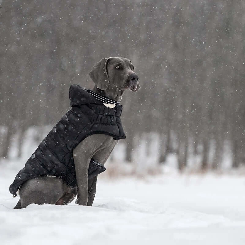 Puffy Cloud Parka Dog Coat - Elasto-Fit®, Water Repellent & Sherpa Lined
