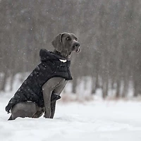 Puffy Cloud Parka Dog Coat - Elasto-Fit®, Water Repellent & Sherpa Lined
