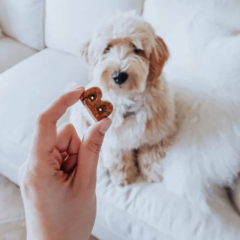 Bocce's Bakery - Crunchy Biscuits Dog Treats - Bac'n Nutty