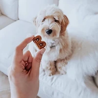 Bocce's Bakery - Crunchy Biscuits Dog Treats - Bac'n Nutty