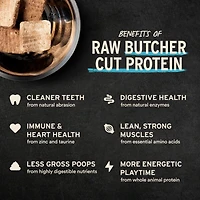 Vital Essentials - Freeze Dried Raw Cat Food - High Protein,  Grain Free & Limited Ingredient Mini Patties - Turkey Entrée