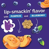 Fruitables - Biggies™ Dog Treat - Crunchy Bold Flavor & Natural Ingredients - Pumpkin & Blueberry