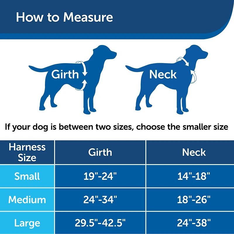 Dog Harness