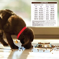 Holistic Select - Dry Dog Food - Natural Grain Free Adult Health - Deboned Turkey & Lentils Recipe