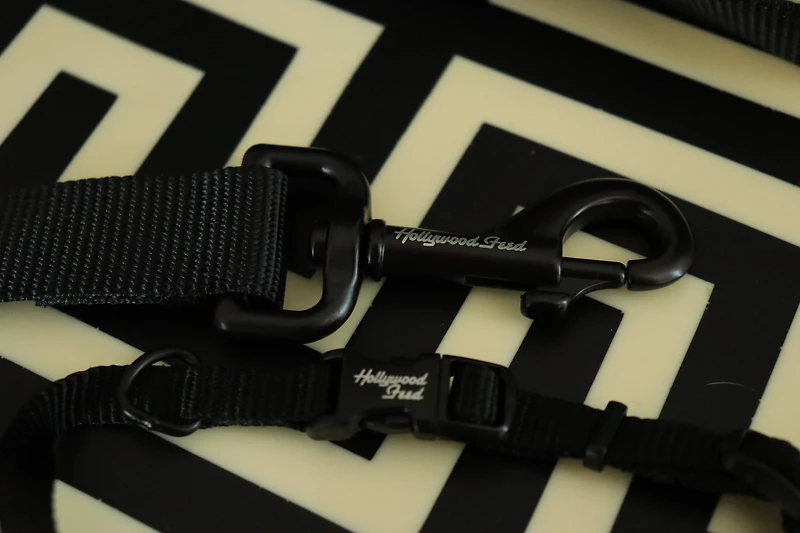 Nylon Dog Leash