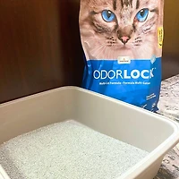 OdorLock - Premium Clumping Clay Litter - Multi Cat Formula - Unscented