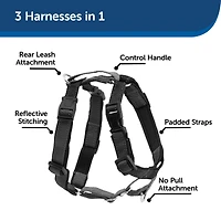 Dog Harness