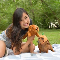 Patchwork Pet - The Weens Plush Dog Toy – Soft & Long Lasting with Removable Pumpkin Hat – Kinda Punny