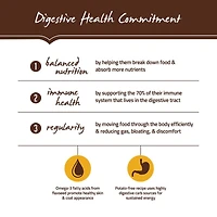 Holistic Select - Dry Dog Food - Natural Grain Free Adult Health - Duck Meal Recipe