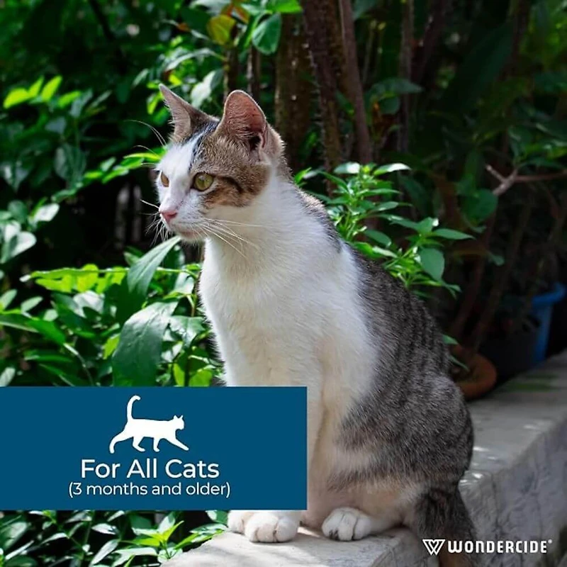Wondercide - Flea & Tick Spot On Topical Prevention for Cats – Natural Plant Powered Protection