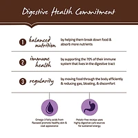 Holistic Select - Dry Dog Food - Natural Grain Free Adult Health - Deboned Turkey & Lentils Recipe