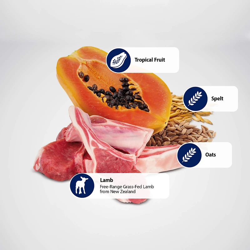 - Dry Dog Food - Lamb,  Spelt,  Oats & Tropical Fruits Puppy Mini