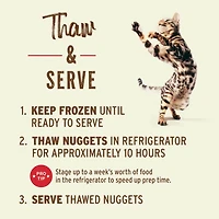 Primal - Frozen Cat Food Nuggets - Raw & Natural Nutrition