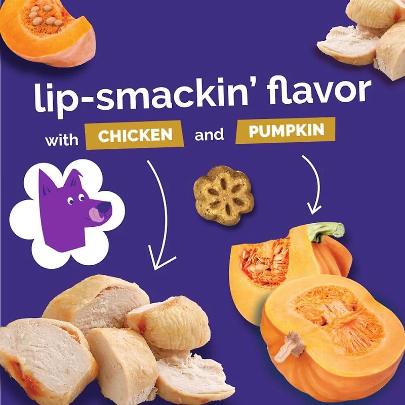 Fruitables - Skinny Minis® Dog Treat - Big Flavor Soft Chews with Superfoods - Rotisserie Chicken