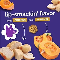 Fruitables - Skinny Minis® Dog Treat - Big Flavor Soft Chews with Superfoods - Rotisserie Chicken