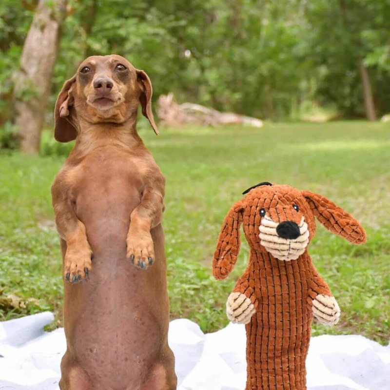 Patchwork Pet - The Weens Plush Dog Toy – Soft & Long Lasting with Squeaker & Crinkle Ears – Meerkat Pro