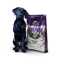 Fromm - Dry Dog Food