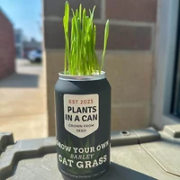 Plants in a Can - Cat Plants - Cat Grass Kit