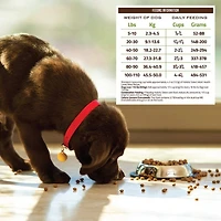 Holistic Select - Dry Dog Food - Natural Digestive Adult Health - Lamb Meal Recipe