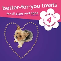 Fruitables - Skinny Minis® Dog Treat - Big Flavor Soft Chews with Superfoods - Grilled Bison
