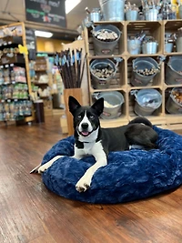 Outward Hound - Donut Dog Bed - Navy Calming Donut Bed