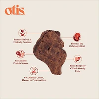 Otis - Air Dried Dog Treat - Bison Lung Fillet
