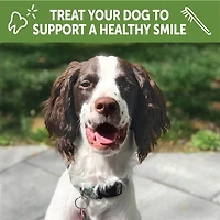 WHIMZEES - Natural Grain Free Dog Dental Treat - Puppy