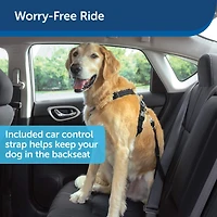 Dog Harness