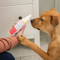 Wondercide - Skin Tonic Spray for Dogs + Cats - Plant Based Itch Relief with Natural Essential Oils