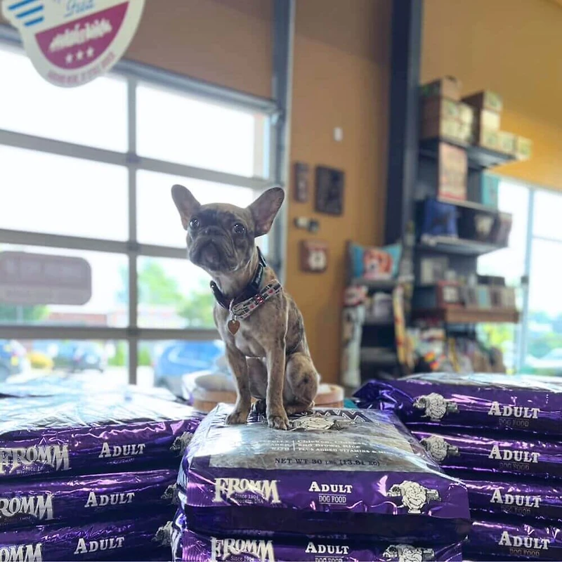 Fromm - Dry Dog Food