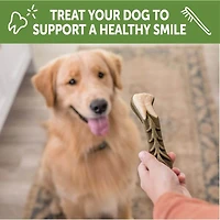 WHIMZEES - Dog Dental Treat - Brushzees Natural Grain Free Dental Chews