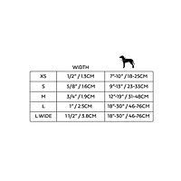 GF Pet - Dog Collar - Adjustable Hardware & Durable Nylon - Lightning Bolt