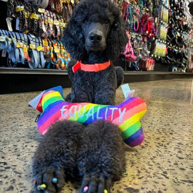 - Power Plush Dog Toy - Soft with Squeaker & Crinkle for Interactive Play - Pride Equality Bone