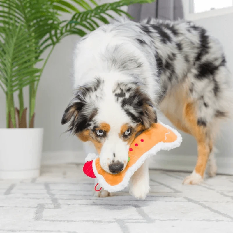 Huxley & Kent - Power Plush Dog Toy - Gingerbread Bone