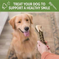 WHIMZEES - Dog Dental Treat - Brushzees Natural Grain Free Dental Chews - Large Breed Value Box