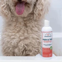 Wondercide - Flea & Tick Shampoo for Dogs + Cats - Plant Based with Cedarwood & Peppermint Oil